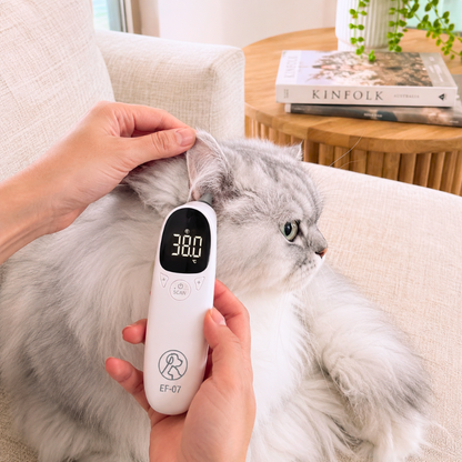 Pet Thermometer
